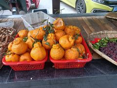 -江龙饭店·乌江豆腐鱼(乌江老桥头店)