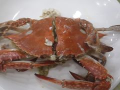 -红灯笼龙凤饭店(宁波老字号店)