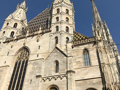 -斯蒂芬主教座堂(Stephansdom)