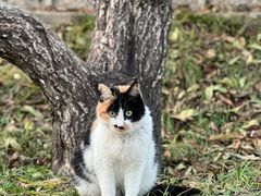 -元大都城垣遗址公园