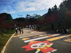 -广州市帽峰山景区