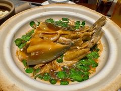 镇江秧草烧豚鱼-永安鱼庄·镇江菜(东吴路店)