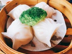 虾饺-香港新曜记茶餐厅(星耀城店)