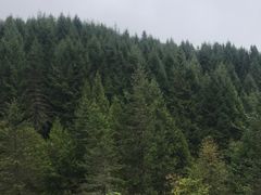 -硗碛藏寨·神木垒景区