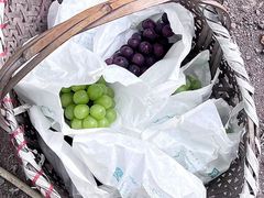 -马陆小张葡萄园农家乐