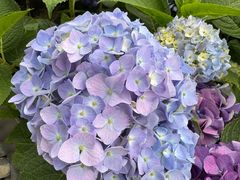 -悦融·京鲁菜·露台花园(安定门店)