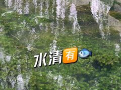 -百花洲