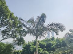 -鸿山公园