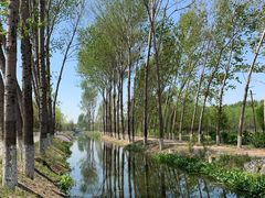 -东郊湿地公园