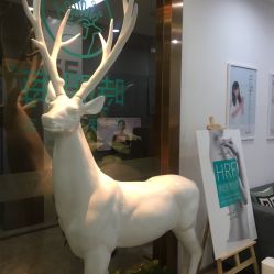 -时间海科学美容