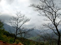 android_upload_pic-广州市石门国家森林公园