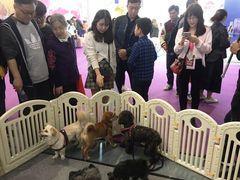 -东浩兰生上海世博展览馆