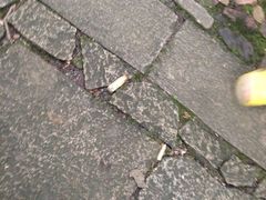 iphone_upload_pic-杭州黄龙洞