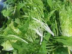 -黔府豆米火锅野菜馆(南马店)