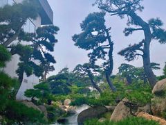 -罗红摄影艺术馆