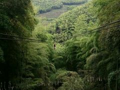 -宁波浙东大竹海景区