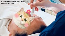 点击看大图 -韩国淼美颜皮肤管理官方直营店