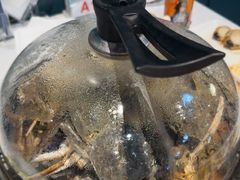 -半岛听涛蒸汽海鲜自助(K11店)