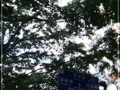 -圆宝台湾小吃(迎津街店)