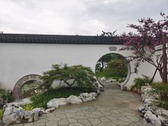 -上海滨江森林公园