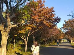 -东湖落雁景区