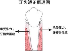 -团圆口腔·种植中心(锦江院区)