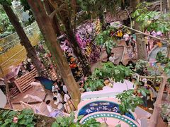 -正佳雨林生态植物园