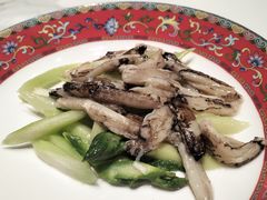 -新光酒家·河豚·海鲜·蟹料理(浦东店)
