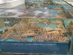 -阿伟海鲜楼·福建菜(延寿店)