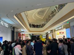 -中集金地美兰城