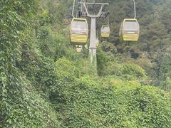 -黔灵山公园