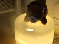 -柴务处·柴犬主题狗咖