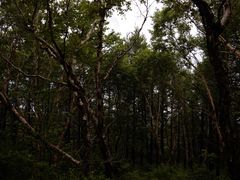 -白草畔自然风景区