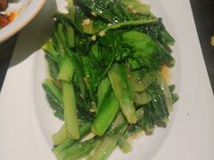 油麦菜-大树餐厅(红旗街万达店)