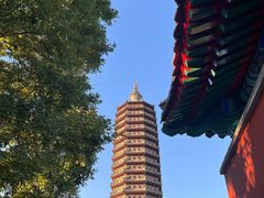 -西海子公园