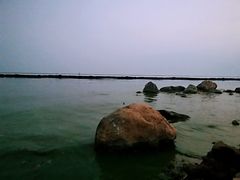 -合肥滨湖国家森林公园