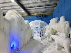 -宁波冰雪大世界(北仑区)