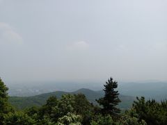 -雨花胜境