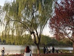 -石家庄市植物园
