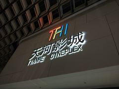 -汉阳天河电影城(王家湾店)