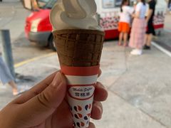 -富豪雪糕车流动点(尖沙咀)