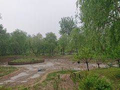 -莲花池公园