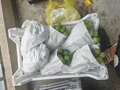 -马陆小张葡萄园农家乐