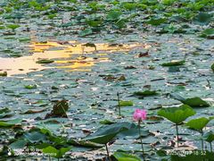 -长春市南湖公园