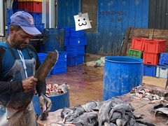 -尼甘布海鲜市场