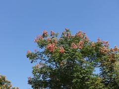 -南山风景名胜区