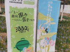 -天津东丽湖风景区