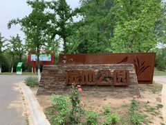 -东郊湿地公园
