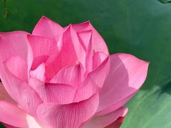 -艾溪湖湿地公园