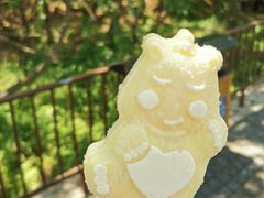 -青岛森林野生动物世界